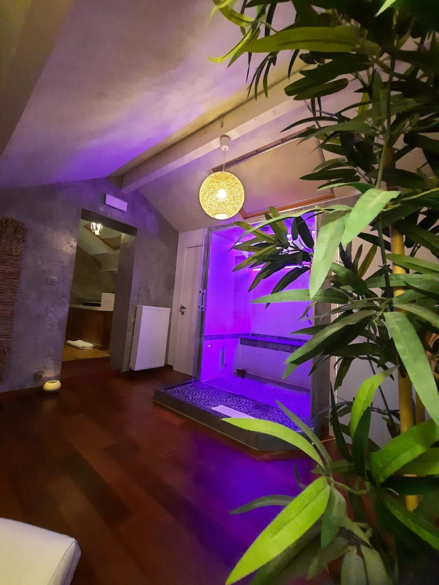 Le Clos Des Thermes De Luxe Avec Wellness Privatif Bed & Breakfast *